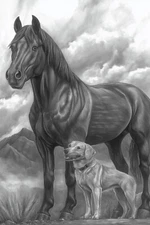 Friendship Black Horse and Dog Farm Animal Portrait Poster Repro FREE S/H in USA