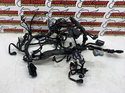   KTM Superduke R Evo 1290 2022 - 2023 Hauptkabelbaum Kabelbaum  
