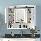 Wall Mounted Bathroom Cabinet Medicine Cabinet Organizer w/ Mirror Door & Lights