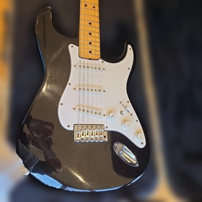 Navigator ESPARTO Strat hard case Safe Packing! | eBay