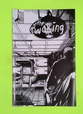 The Waking #2b 2010 Zenescope Entertainment, Inc. Variant 8.0 Comic Book J35-240