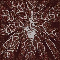 Vinile - Trash Boat - Crown Shyness - Hopeless Records -D- Neu