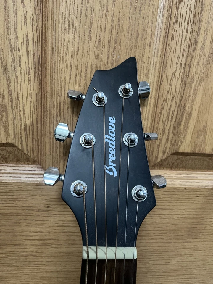 Concierto Breedlove Discovery S Foto 4 de 4