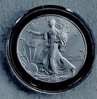 2007 American Silver Eagle $1 Coin - Brilliant Uncirculated With Capsule #2