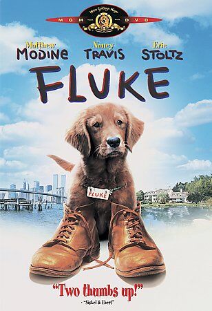 Fluke (DVD, 1995 / 2021) NEW Sealed - Picture 1 of 1