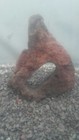 Picture 2 of 6