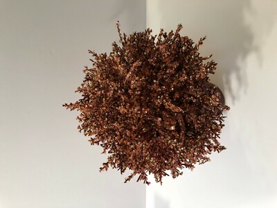 クレートアンドバレル　ツリー CRATE AND BARREL - DECORATIVE CRYSTAL BEADED, FLORAL TREE | eBay