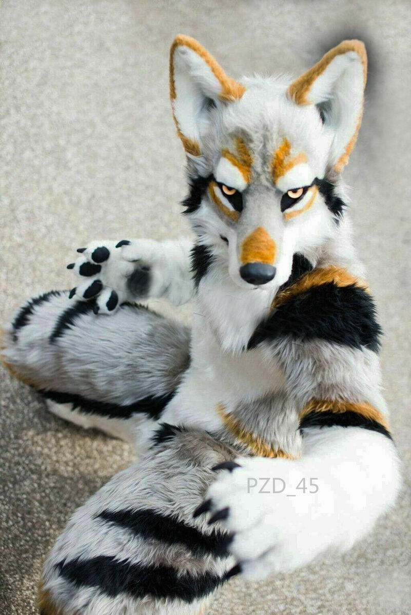 Fursuit Long Haired Grey Wolf Animal Party Costume Cosplay Fur