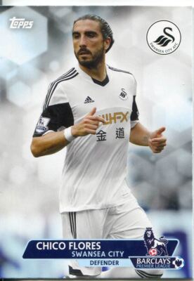 Premier Gold Fußball 13/14 Basiskarte #180 Chico Flores