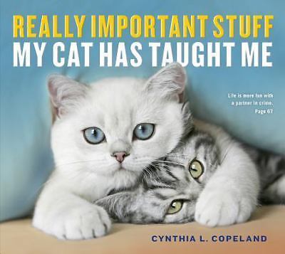 Really Important Stuff My Cat Has Taught Me by Copeland, Cynthia L.