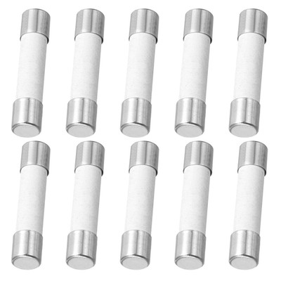 10er Packung Keramik Sicherung 200mA, Träge Feinsicherung 5x20mm Glassicherung 2