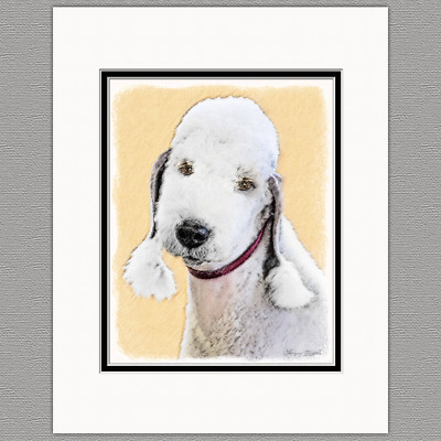 Bedlington Terrier Original Dog Art Print 8x10 Matted to 11x14