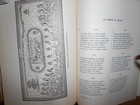 Foto 10 di 12