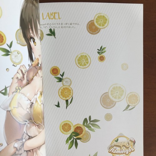 Avian Romance ver 1.5.2 Edition Pink Label Anmi Art Book Illustration - 第 12/24 張圖片