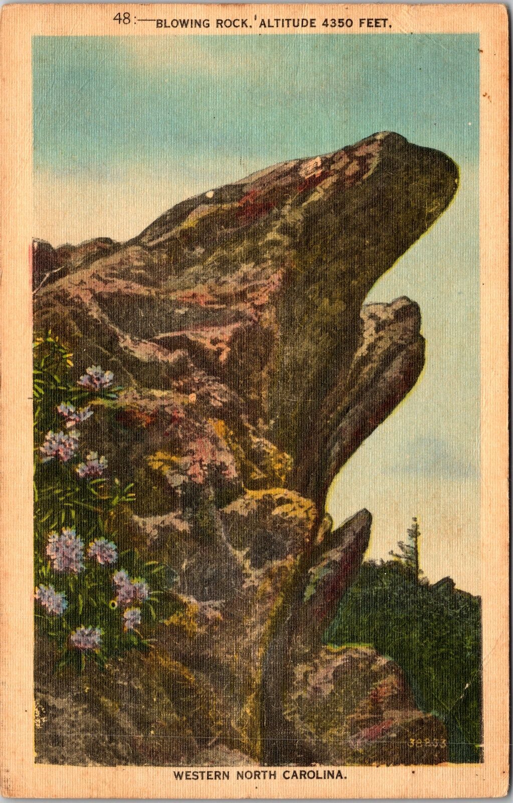 1950s Blowing Rock NC Gorge Vintage Souvenir Postcard Western North Carolina  
