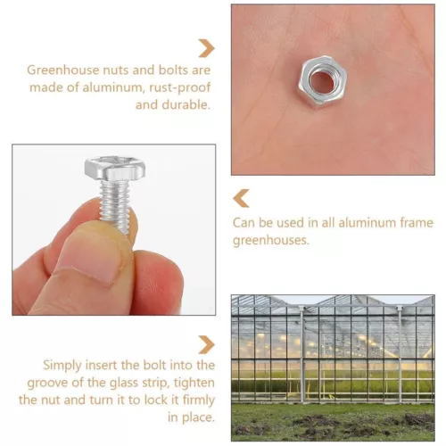 10-50Paar Aluminium Flachkopfschrauben für Gewächshaus Vierkant SchraubenM6x12mm - Bild 9 von 12