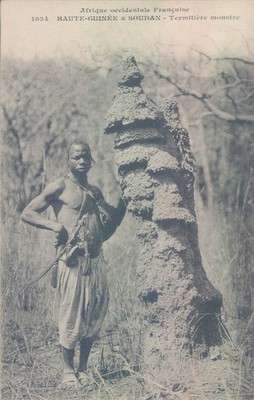 French colonies SUDAN man near giant termite mound 1910s PC