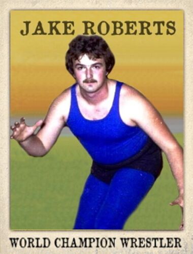 LJACards Weltmeister Wrestler Serie 3 Sammelkarten ACEO (2. Druck) - Bild 13 von 24