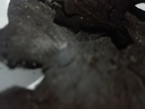 Coconut shell charcoal & Pure Organic Activated Carbon Chips Natural Ceylon - Picture 5 of 12