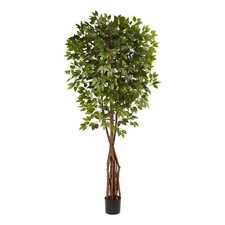 Pemberly Row 90" Super Deluxe Ficus Tree with 1386 Leaves in Green/Black