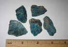 5 SMALL NATURAL ROUGH 1"-1.5" RICH BLUE APATITE CRYSTALS MADAGASCAR 69.1g *1 (GG — photo 4