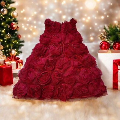 Girls BABY GAP Red Tulle Roses Dress Christmas Wedding