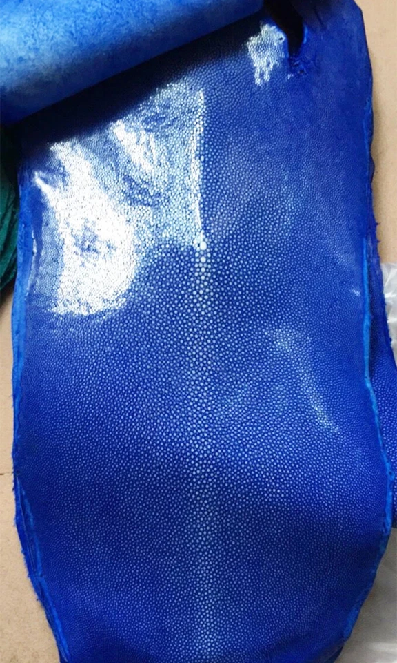 Piel de piel de raya real pulida azul real piel peluda 4-10 pulgadas Foto 4 de 4