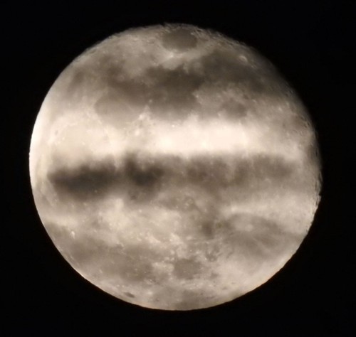 Súper teleobjetivo para cámara digital Nikon Coolpix P900 usado excelente estado - Imagen 8 de 9