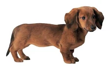 Paper House Productions 3.75" x 2" Die-Cut Dachshund Dog Shaped Magnet for Re...