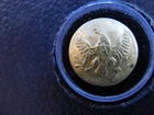 Pre Civil War Artillery Officers Button - Superior Quality