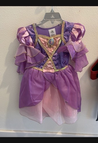 Disney Rapunzel Costume