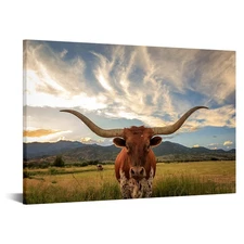 KREATIVE ARTS Texas Animal Canvas Wall Art Highland Cattle with Long Horns Pi...