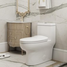 HOROW Dual Flush Elongated One Piece Toilet with Soft Close Seat, 12'' Rough-In