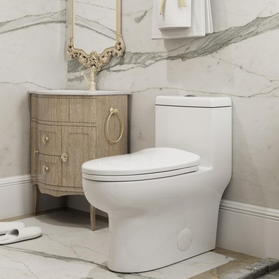 HOROW Dual Flush Elongated One Piece Toilet with Soft Close Seat, 12'' Rough-In