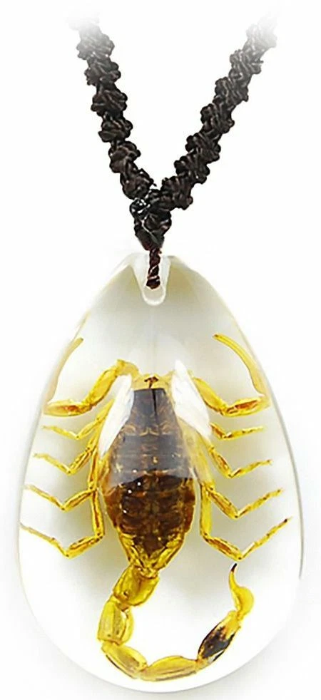 Real scorpion pendant deals