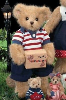 DANNY DYNAMITE 2009 Bearington Patriotic 14'' Bear #161996 goes/Miss Independance