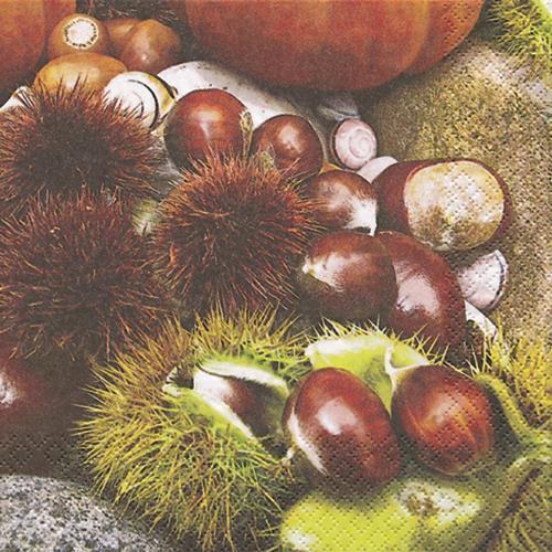 20 tovaglioli maroni castagne pianta autunnale naturale decorazione tavolo 33x33 cm - Foto 1 di 1