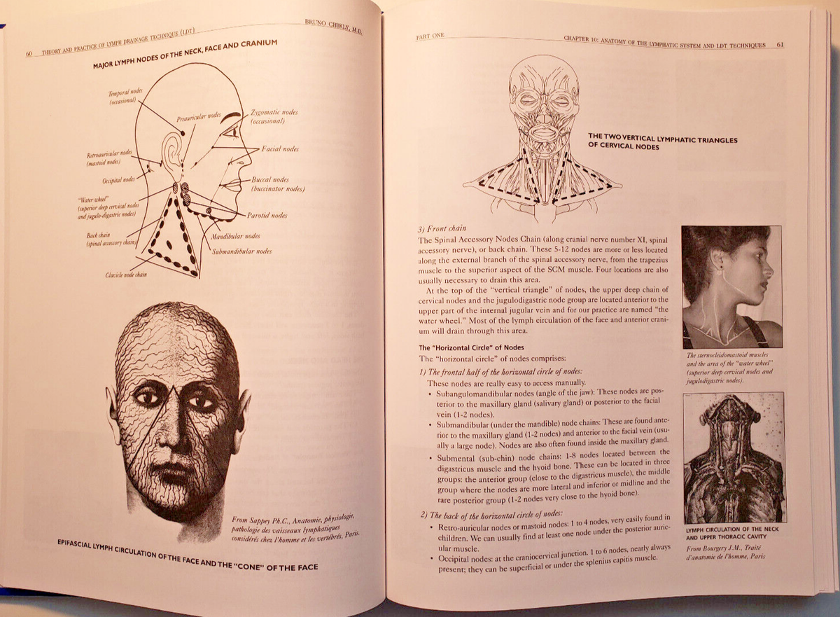 Silent Waves: Theory & Practice of Lymph Drainage Therapy
