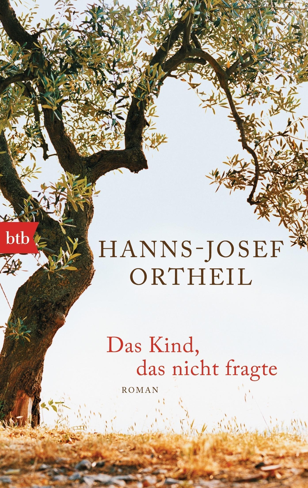 Das Kind, Das Nicht Fragte Hanns-josef Ortheil