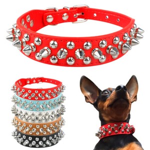 small dog spiked collar