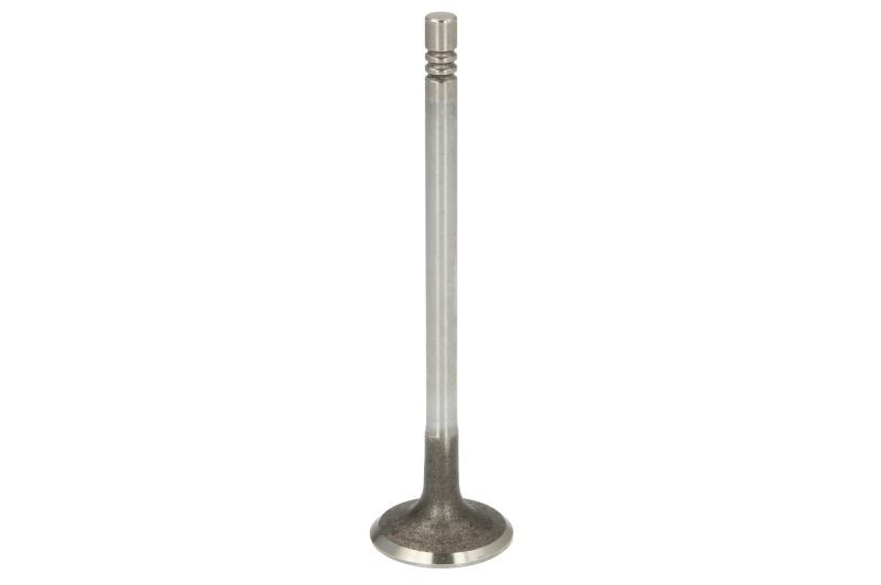 Fits FRECCIA 8017/SCR Intake Valve 8017/SCR Intake valve (25,4x5,5x95,4) fits: