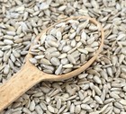Sunflower Hearts Wild Bird Seed Feed Premium Top Grade Quality Food For 100g-1KG