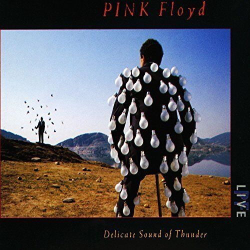 Pink Floyd Delicate sound of thunder (1988) [2 CD] - Afbeelding 1 van 1
