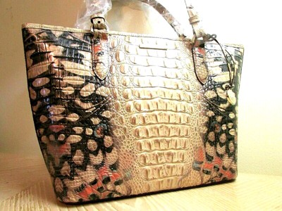 brahmin black butterfly