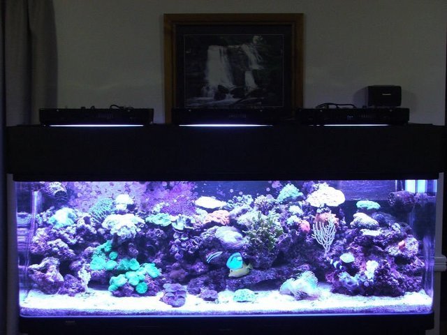 Foto 6 di 8