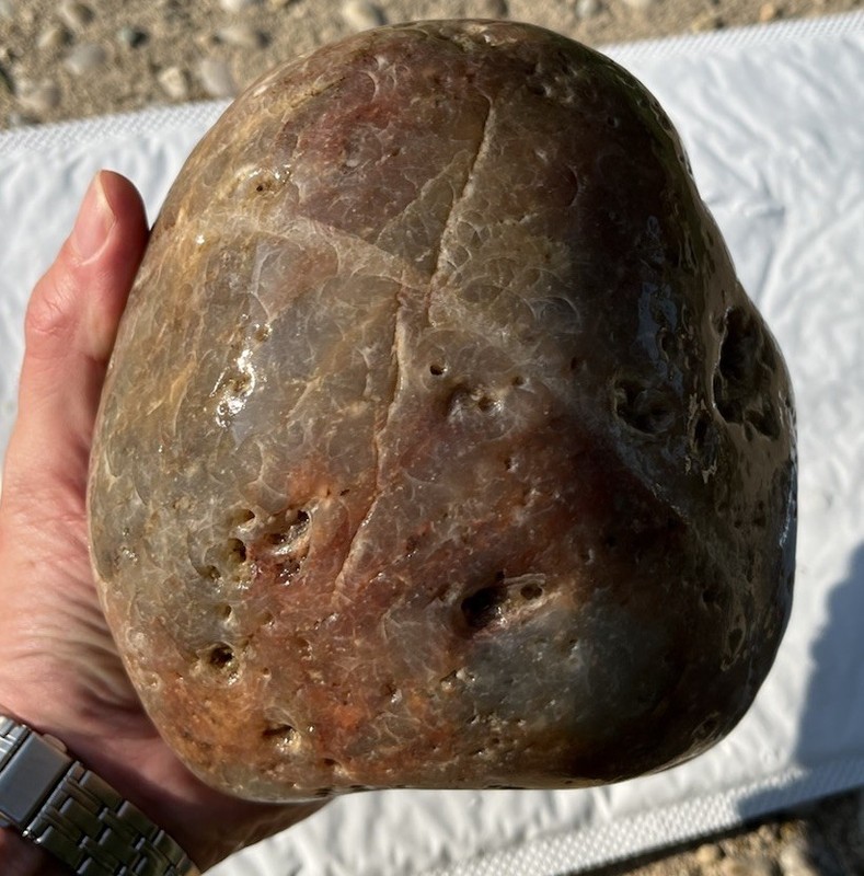 HUGE Natural Chalcedony Rough Agate Display Stone Botryoidal Specimen 8lbs