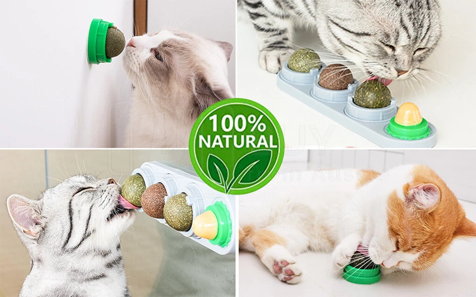 Cat Toy Catnip Ball Lick Solid Nutrition Help Digestion Wall Mount/Hair Remover - image 4 of 4