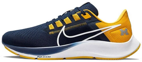 Nike Air Zoom Pegasus 38 Michigan