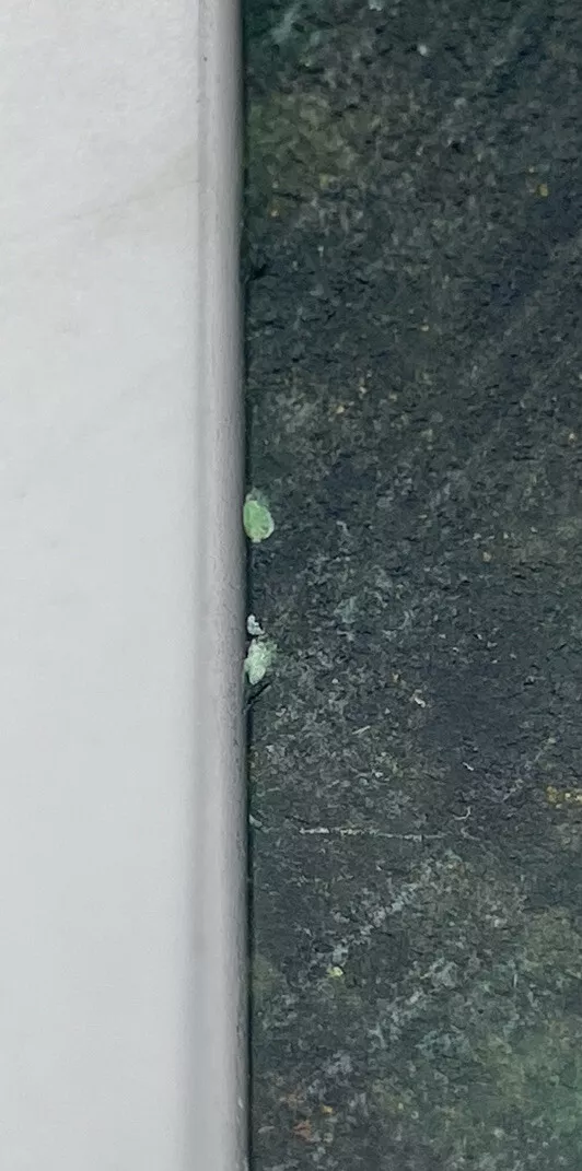 Picture 7 of 16