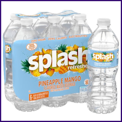 Splash Refresher Pineapple Mango Flavor Water Beverage 16.9 Fl Oz Plastic Bottle